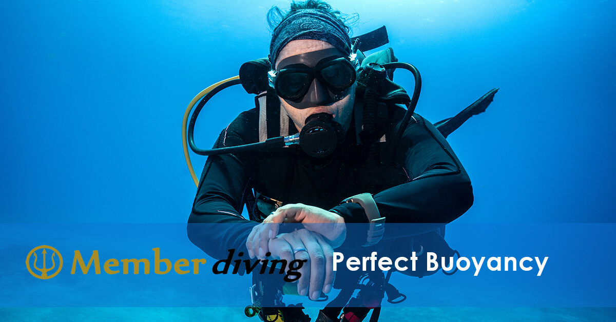 Perfect Buoyancy or why you should have a great buoyancy!