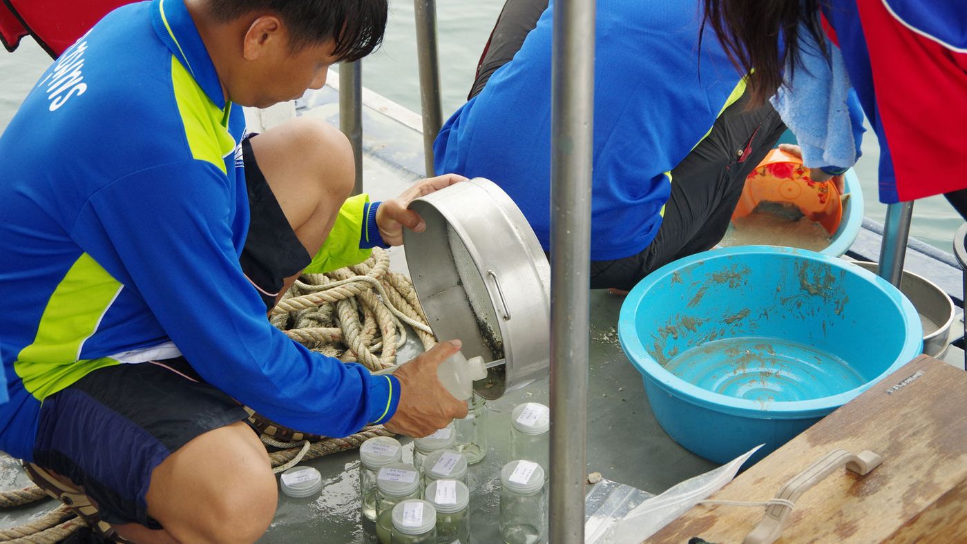 Fische Zählen im Golf von Thailand