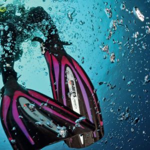 Diver Stress & Rescue Course
