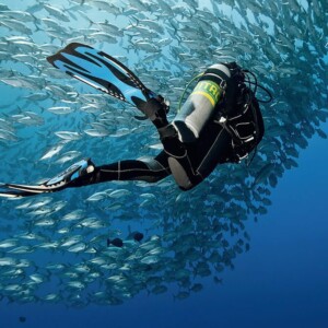 Enriched Air / Nitrox Dive Course