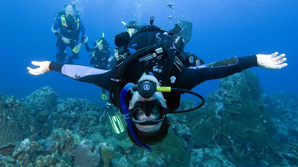Tauchkurs und Tauchen mit Member Diving