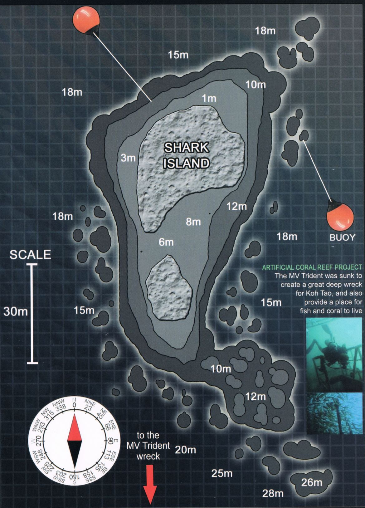 Shark Island Dive Courses, Dive Tours, Snorkeling on Koh Samui with