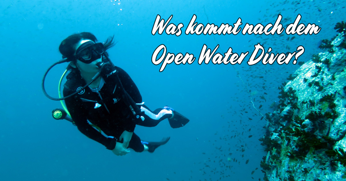 Was kommt nach dem Open Water Diver Tauchkurs?