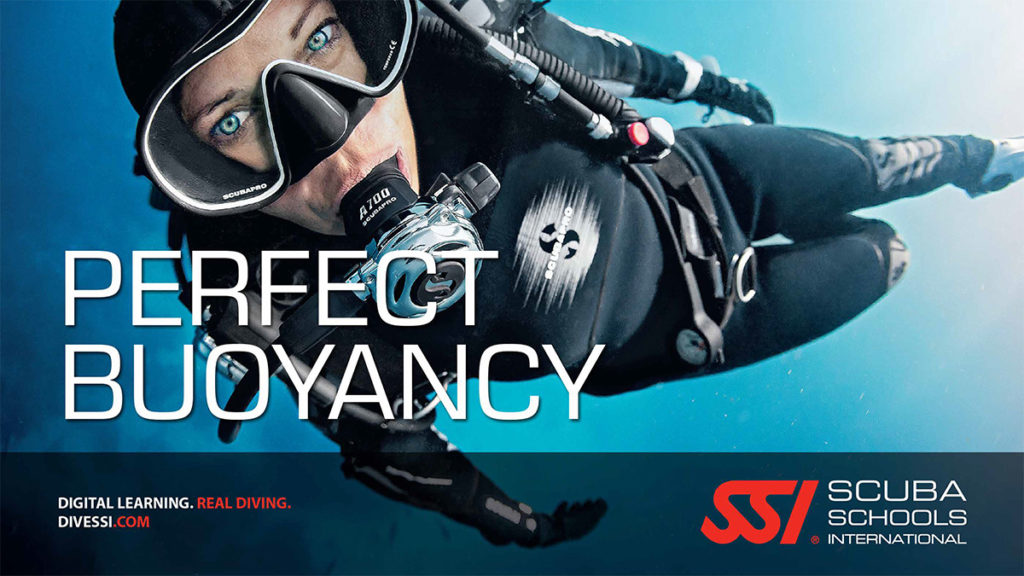 Perfect Buoyancy Dive Courses, Dive Tours, Snorkeling on Koh Samui