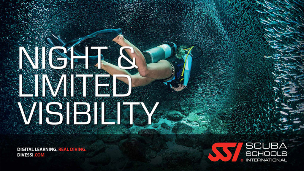 Night Diving and Limited Visibility Dive Courses, Dive Tours