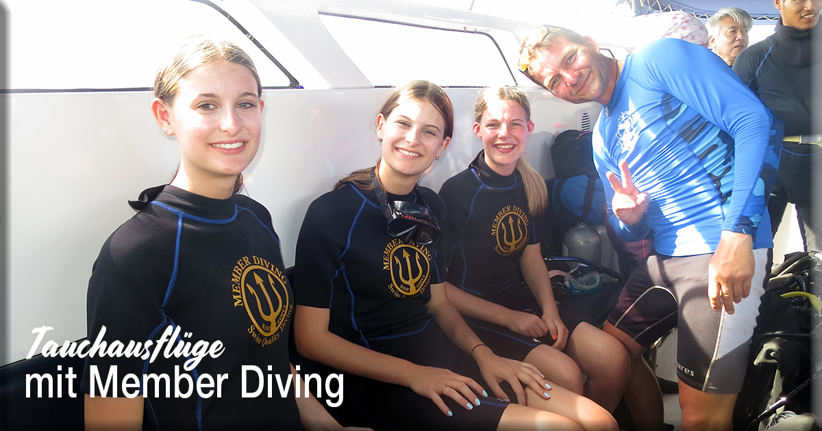 Tauchausflüge und Tauchkurse mit Member Diving