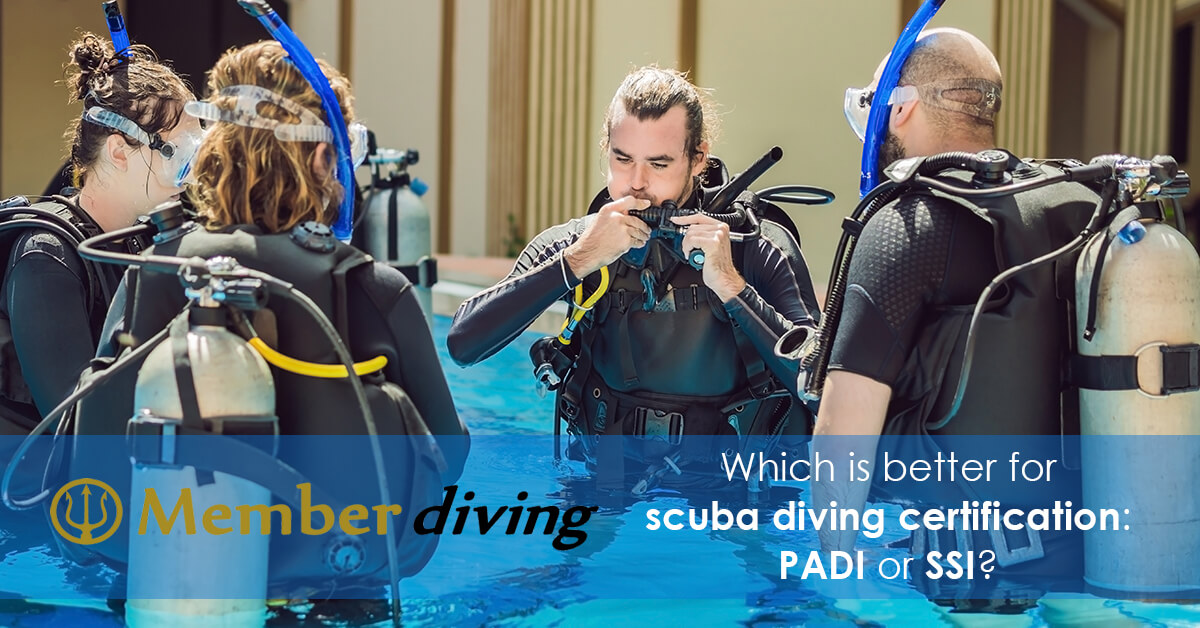 Which is better for scuba diving certification - PADI or SSI