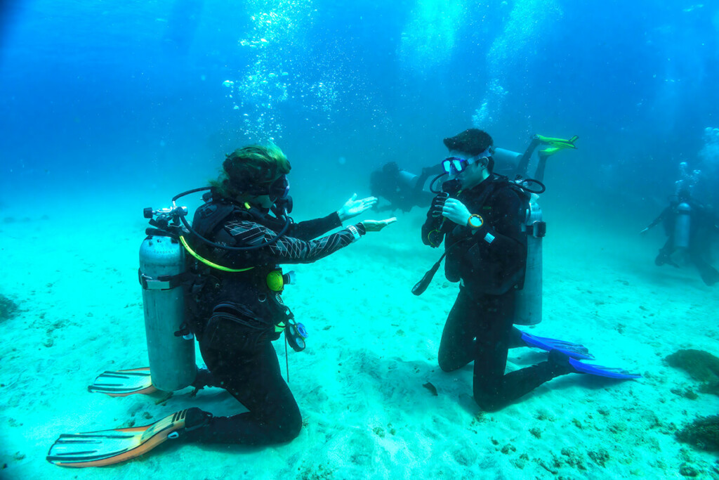 Scuba Diving Courses in Koh Samui with Member Diving