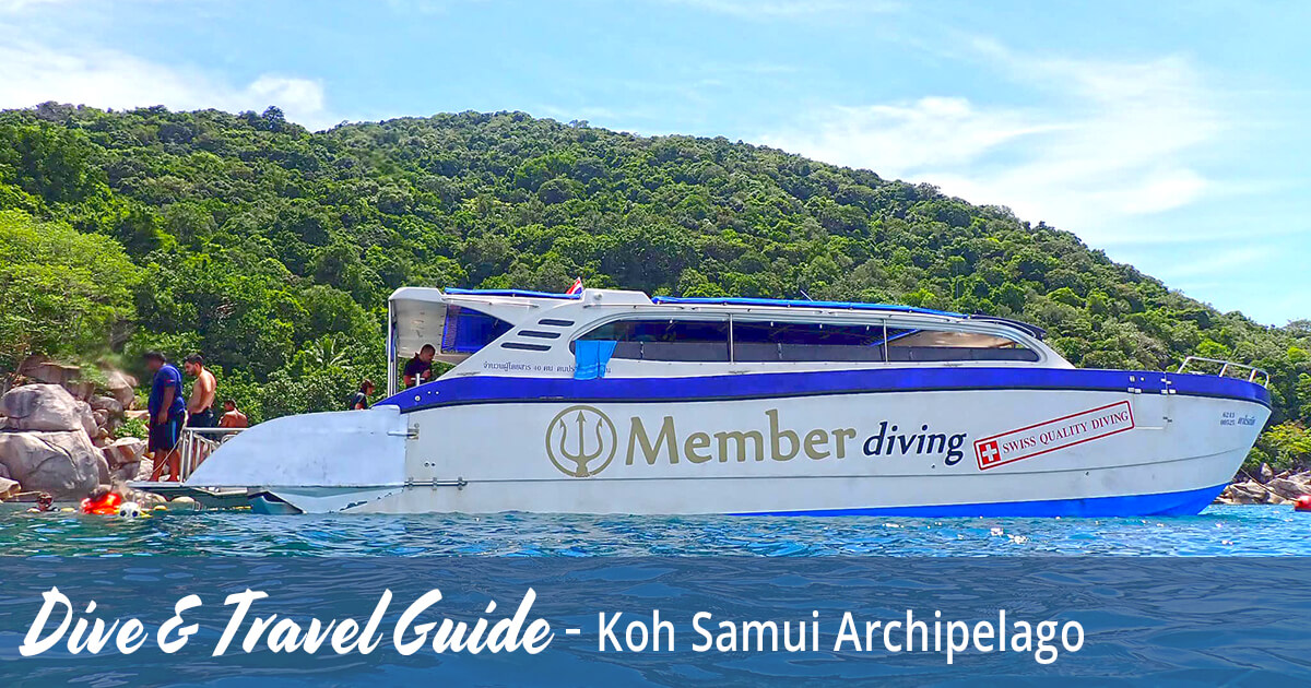 Koh Samui Archipelago Dive Guide