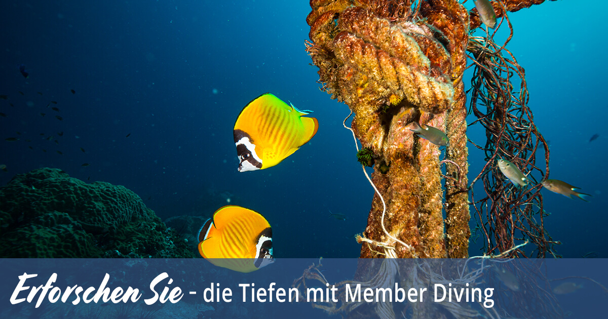 Erforschen Sie die Tiefen mit Member Diving