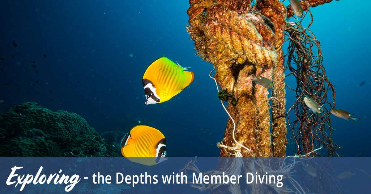 Exploring the Depths with Member Diving School on Koh Samui