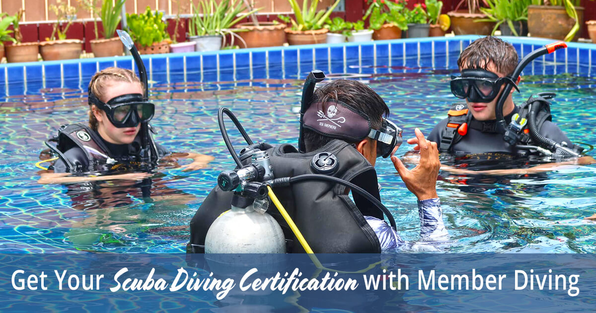 Get Your Scuba Diving Certification with Member Diving