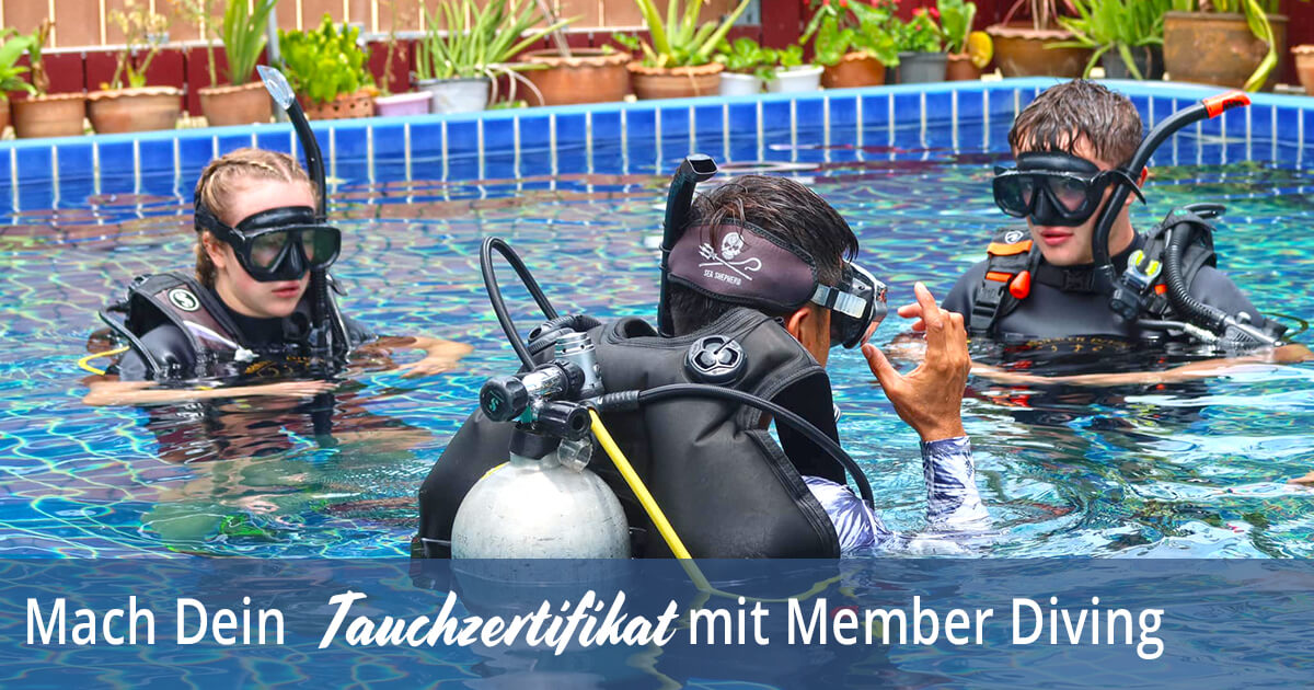 Mach Dein Tauchzertifikat mit Member Diving, Koh Samui