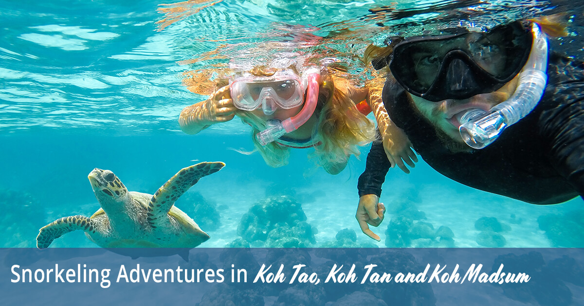 Snorkeling Adventures in Koh Tao, Koh Tan, and Koh Madsum