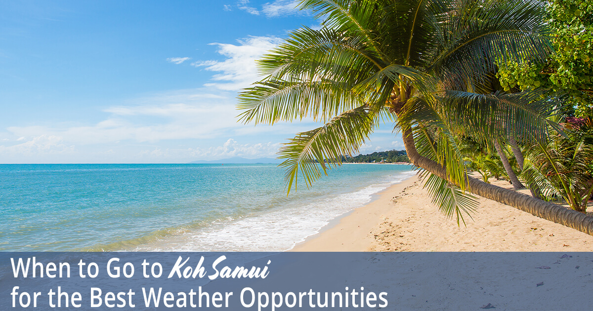 When to Go to Koh Samui for the Best Weather Opportunities