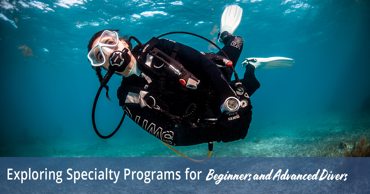 Exploring Specialty Programs for Beginners and Advanced Divers