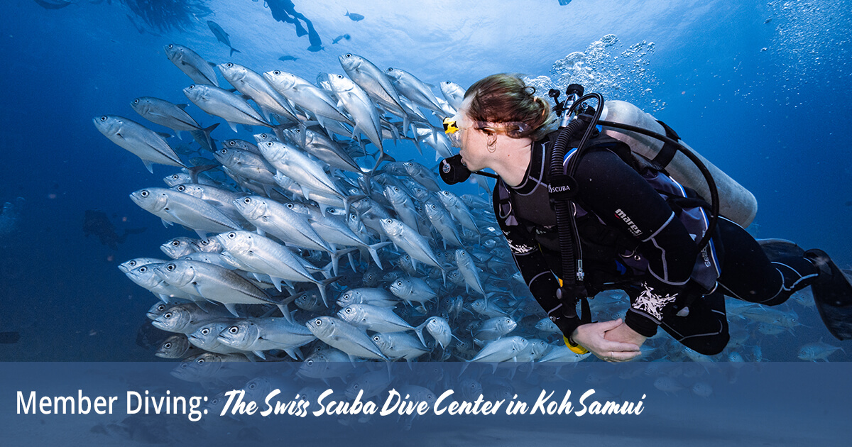 Member Diving, the Swiss Scuba Dive Center in Koh Samui