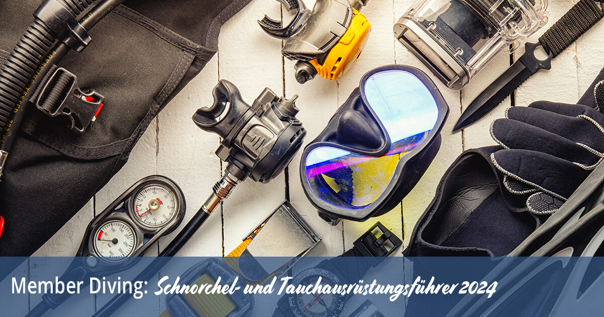 Member Diving's Schnorchel- und Tauchausrüstungsführer 2024
