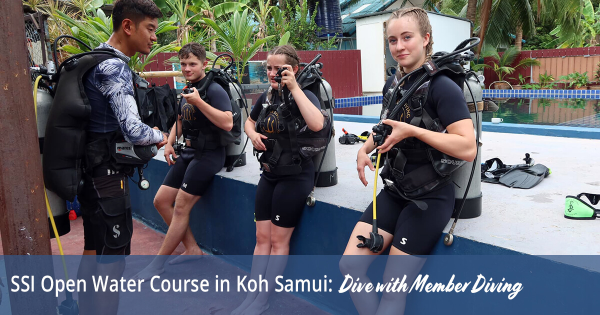 SSI Open Water Course in Koh Samui Dive with Member Diving