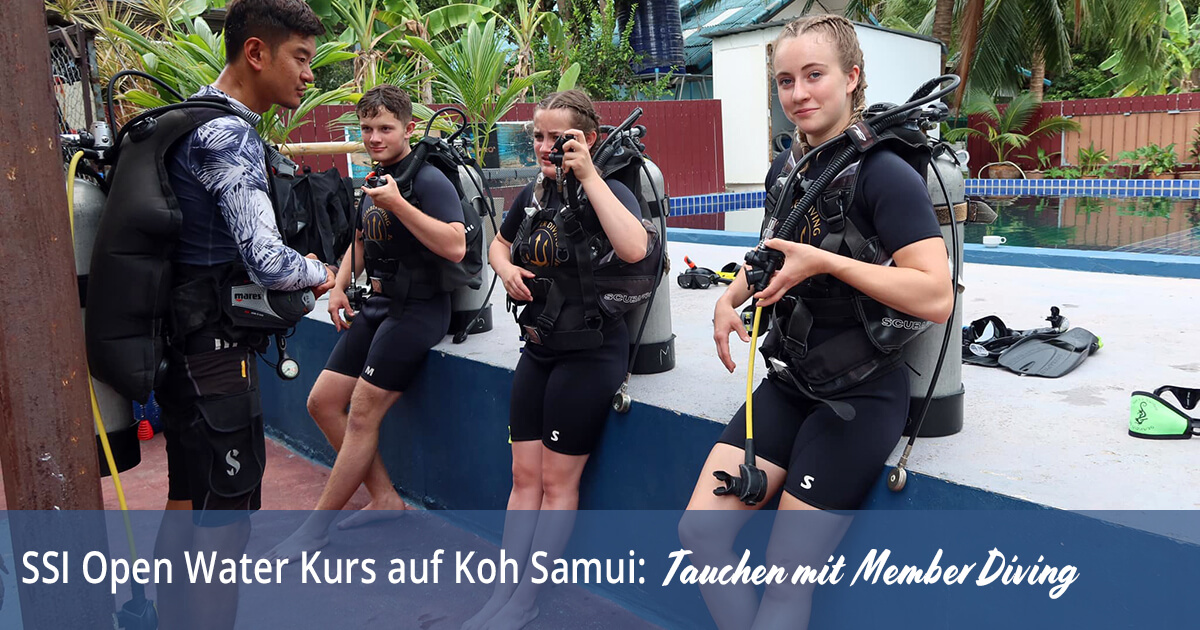 SSI Open Water Kurs in Koh Samui: Tauchen mit Member Diving