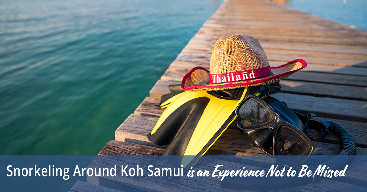 Snorkeling Around Koh Samui is an Experience Not to Be Missed