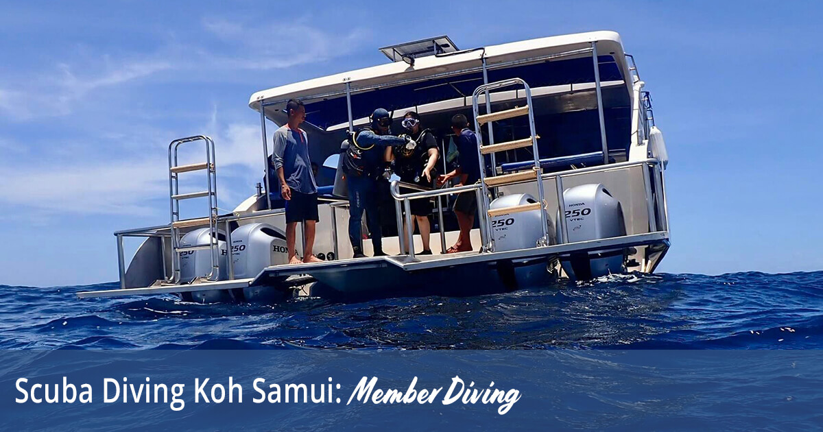 Scuba Diving Koh Samui - Member Diving