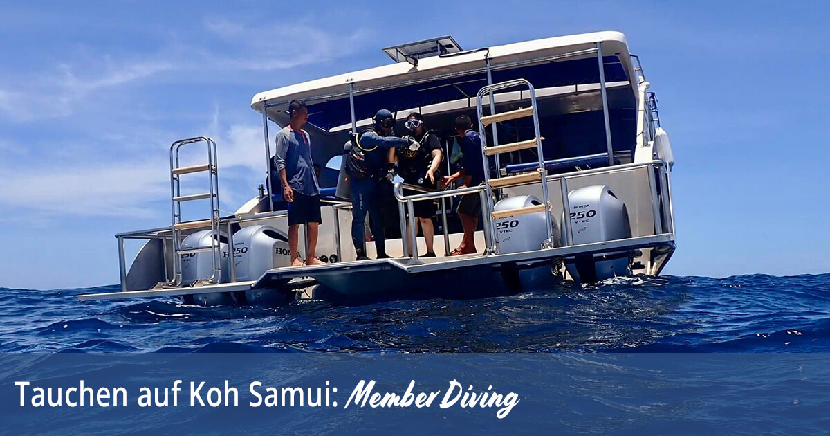 Tauchen auf Koh Samui - Member Diving