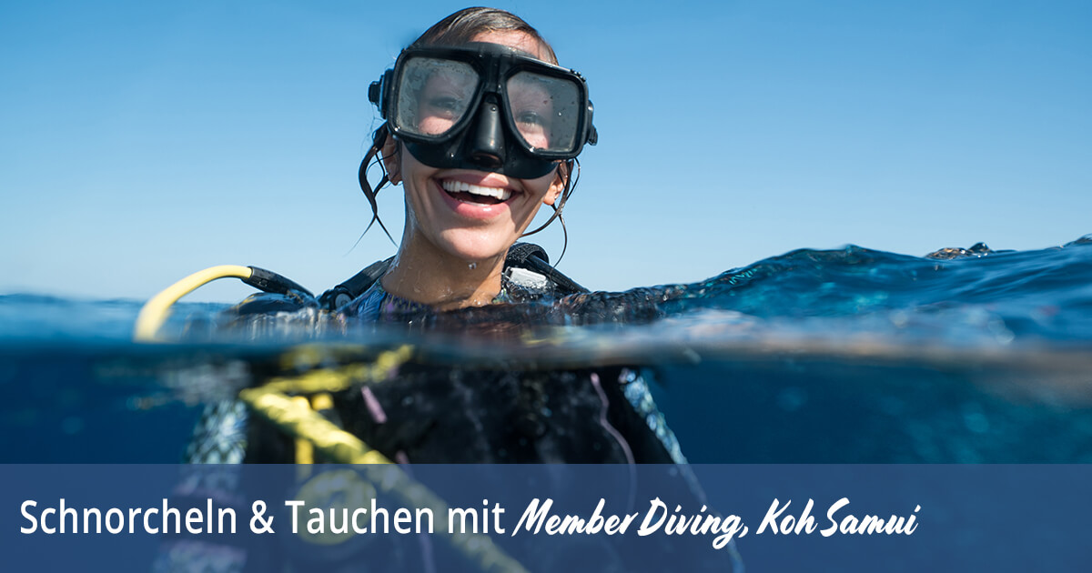 Schnorcheln & Tauchen mit Member Diving