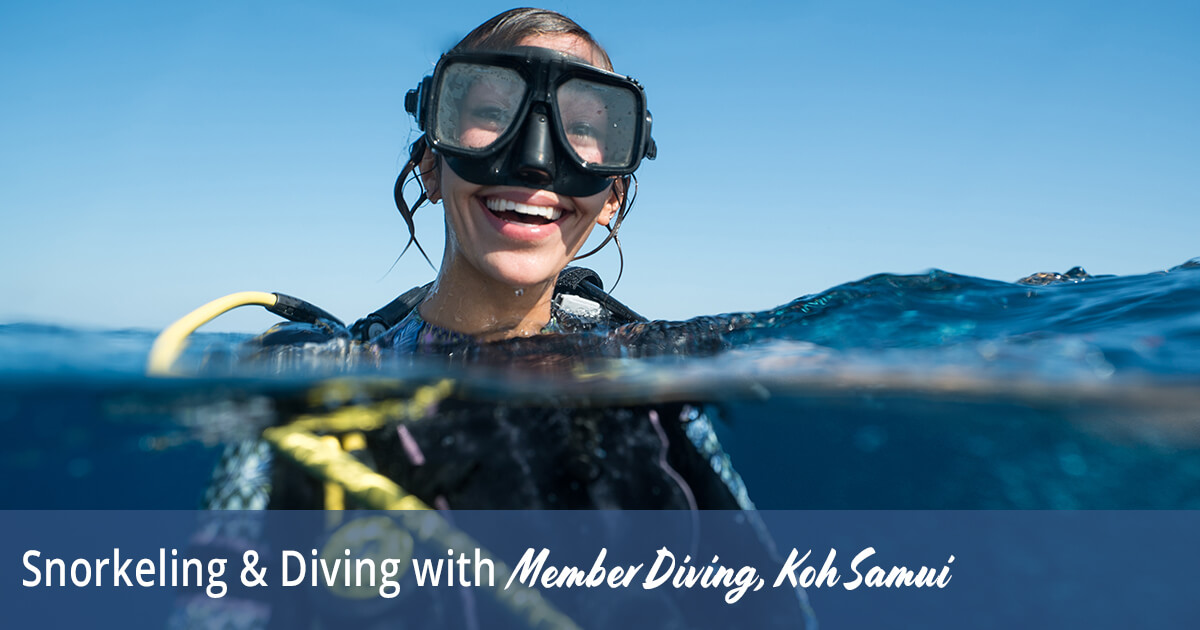 Snorkeling & Diving with Member Diving