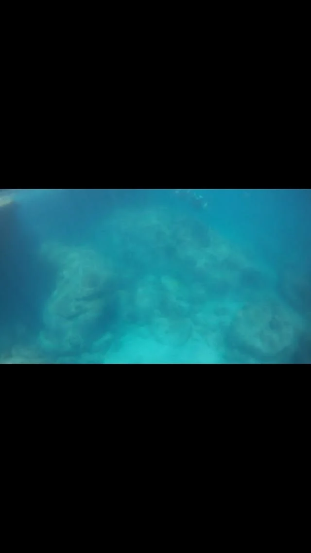 #bubblemaker with  memberdiving