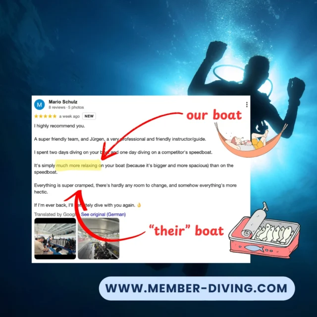 🚤💨 Speedboat chaos vs. spacious chill? The verdict is in...Mario did one dive with “them” and two dives with us — and guess which boat he called "much more relaxing"? 😎🛋️✅ More space to move
✅ No stress changing gear
✅ A calm, comfortable vibe that makes diving what it should be: pure joy.So if you’re choosing between sardine can or serene hammock…
Come dive the relaxing way on Koh Samui. Just message us or check out our website.#ScubaThailand #DiveComfortably #DivingReview #OpenWaterDiver #kohsamui #kohsamui #kohsamui🌴 #kohsamui🌴☀️ #kohsamuithailand #kohsamui🌴☀️🌊🌺 #kohsamuithailand🌊🌴🌴🌴🌴 #samui #samuiisland #samuitravel #diving #divingtrip #divingschool #divingadventures #scubadive #scubadiving #scubadivinglife #divingsamui #samuidiving #kohsamuidiving #divingkohsamui