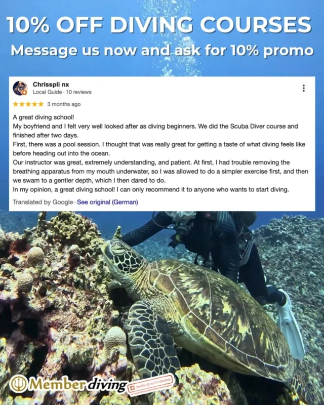 👩‍🏫 Nervous about learning to dive? Don’t be — we’ve got you.Chrisspli and her boyfriend were complete beginners, and after just 2 days and one patient, understanding instructor, they were confidently exploring the underwater world. 🌊✅ Pool session first to build comfort
✅ Step-by-step guidance
✅ No pressure, just progress at your pace10% OFF all diving courses — just message us and ask!
Start your diving journey the calm, supported, and safe way. #scubadivinglife #divingschool #samui #scubadiving #diving #divingsamui #kohsamui #kohsamuithailand #divingkohsamui #kohsamuidiving #samuiisland