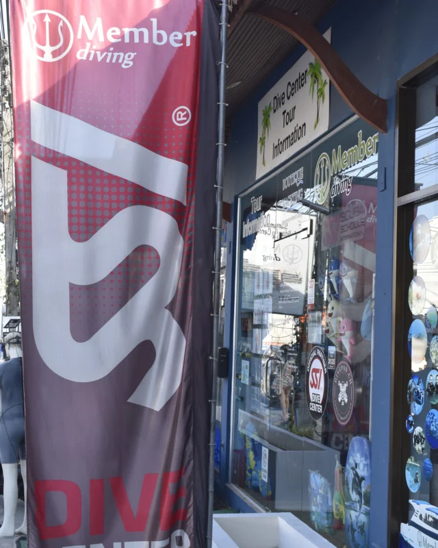 Feel free to visit our store on Koh Samui, to book various kinds of dives, snorkeling trips, get all the information you need, or to book a luxury yacht day-trip with @boutiqueyachting ⛵We also have different snorkeling and diving equipment for sale 🤿See you soon! 🐋You can find us here 📍
158, 6, Bo Put, Amphoe Ko Samui, Surat Thani 84320, Thailand#MemberDivingKohSamui #DivingThailand #AngThongnationalmarinepark #nature #summerfeeling #KohSamui #Thailand #paradise #summer #boat #sailing #amazingThailand #nature #nationalpark #adventure #marinepark #holiday #sunset #sun #luxury #vacation #whales #sightseeing #BoutiqueYachtingKohSamui