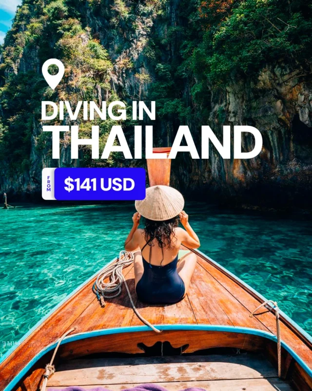 PSA... whale shark season is now 🐋Thailand offers world-class diving 365 days a year, thanks to a tropical climate and two distinct diving zones 🏝️Leave your heavy neoprene at home...
With air temps between 85–95°F (30–35°C) and water temps hovering at a balmy 84°F (29°C), you’re set for some seriously comfortable diving ☀️Whether you’re chasing big fish, mantas, or crystal waters, here’s the breakdown:📍 Andaman Sea (West Coast) - currently in its prime!While best conditions run October–April, March through June is the peak for Whale Shark sightings.📍 Gulf of Thailand (East Coast)As the West Coast winds down, the East Coast steps up. Expect incredible visibility and magical encounters from May through September.Tip: If you’re chasing Manta Rays, the window remains open until mid-May in the Andaman…
Making right now the best time to dive Thailand for megafauna lovers.🌊 EXPLORE and book today at DiveBookings.com 🌊Delivered in partnership with trusted local operators including memberdiving bbdiverskohchang thejunk_liveaboards dowaandiving breathflow.connection 🤿#divetrip #scubalove #divethailand #explorethailand